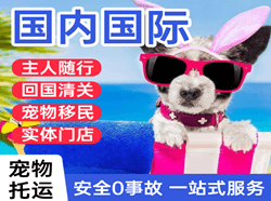成吉思汗航空物流国际宠物托运 【国